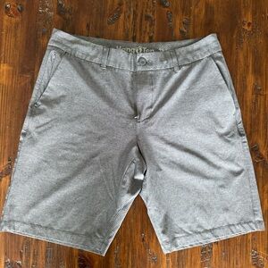 Men's Gray Hang Ten Shorts